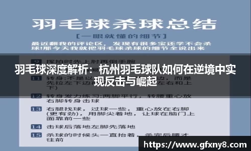 羽毛球深度解析：杭州羽毛球队如何在逆境中实现反击与崛起